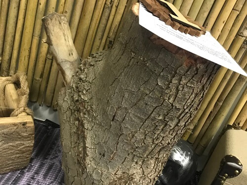 הבחירה - חדר בריחה